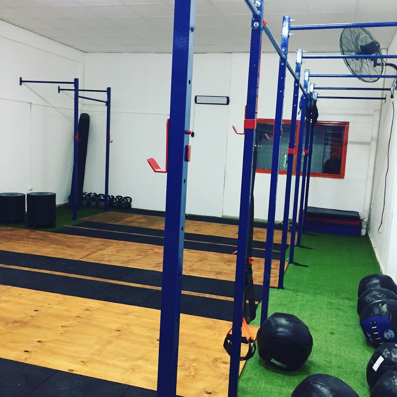 Zona de Kettlebells y Discos de Competición